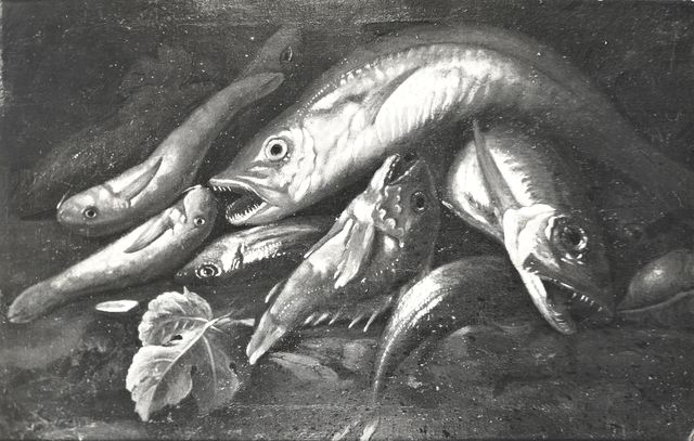 Anonimo — Anonimo napoletano - sec. XVII - Natura morta con pesci — insieme
